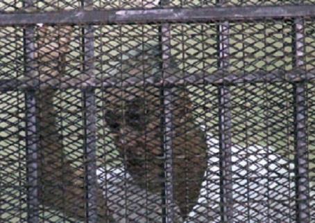 إعادة محاكمة سامح فهمي في ضوء الحكم الصادر من محكمة النقض أواخر مارس 2013 – أرشيفية